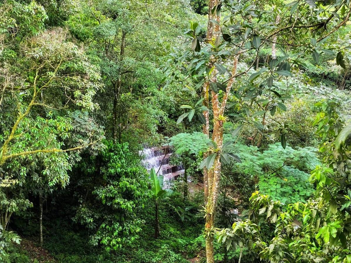 La Nube Eco-Hotel บิยาบิเซนซิโอ ภายนอก รูปภาพ