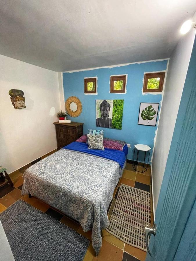 La Nube Eco-Hotel Buenavista  ภายนอก รูปภาพ